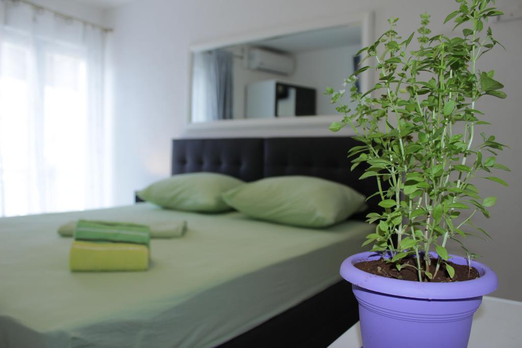 Guest House Put Neum Kültér fotó